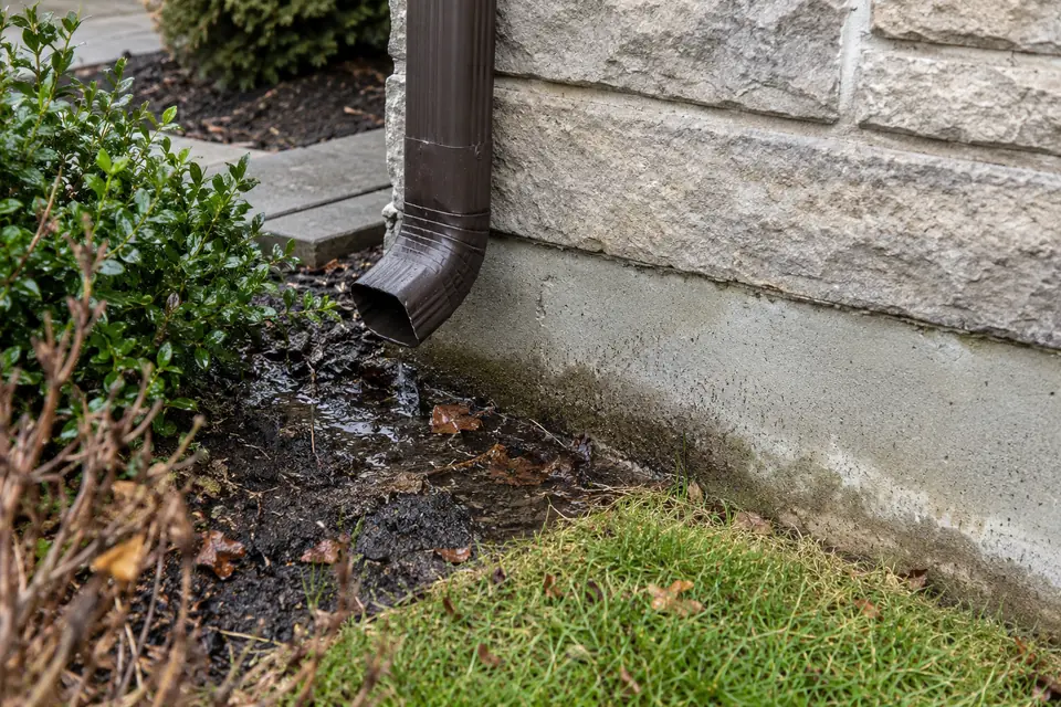 Landscaped downspout extension